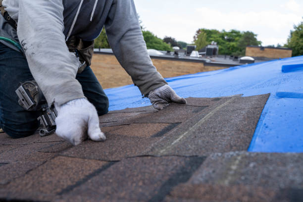 Best Roof Restoration Services  in North Braddock, PA