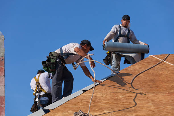 Best Roof Repair Services  in North Braddock, PA