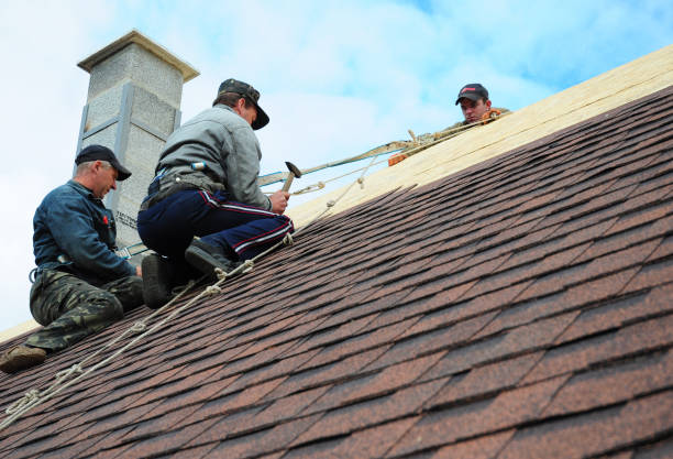 Roof Gutter Cleaning in North Braddock, PA